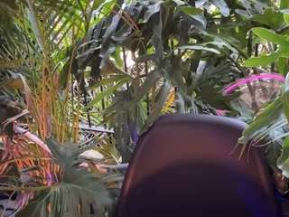 anastaxialynn Live Webcam on CamSoda