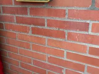 anastaxialynn Live Webcam on CamSoda