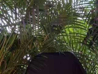 anastaxialynn webcam