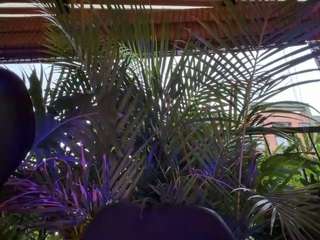 anastaxialynn webcam