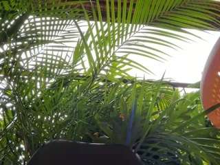 anastaxialynn webcam