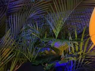 anastaxialynn Live Webcam on CamSoda