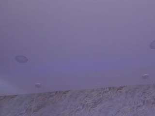 sharon-montana Live Webcam on CamSoda