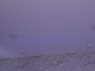 sharon-montana Live Webcam on CamSoda