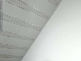 nayshalopests webcam