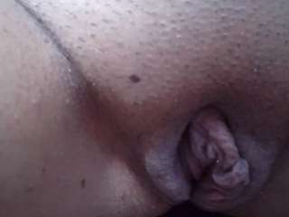 penelopehott