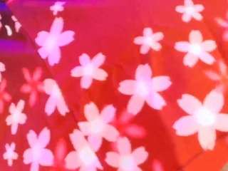 alicebenet Sex Cam Show