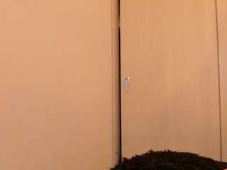 rouse-hallberg webcam