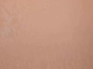 rouse-hallberg webcam