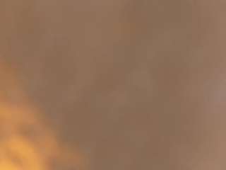 rouse-hallberg Ass live webcam