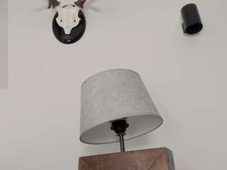 rouse-hallberg webcam