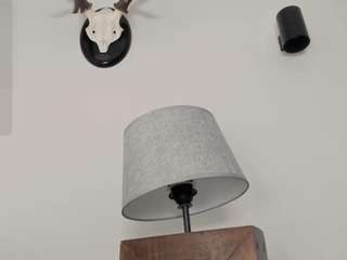 rouse-hallberg webcam model