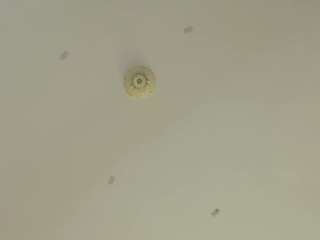 moniqque