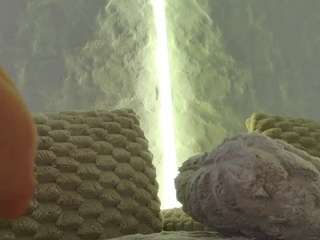 monnyque