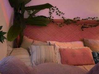 thelittlenative webcam