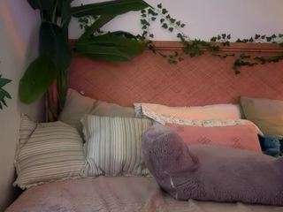 thelittlenative webcam