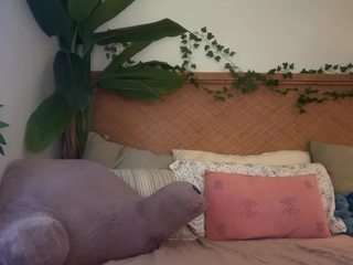 thelittlenative webcam
