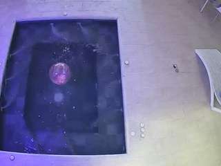 Milf, Hd, Sexwebcam, Pov, No drinking, Mixed, Hidden cam, Hidden, Flashing,..., 6