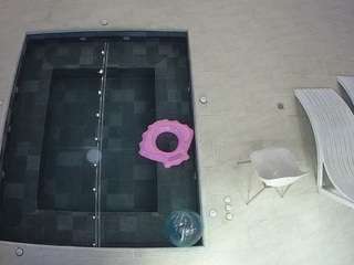 voyeurcam-casa-s... Live Webcam on CamSoda