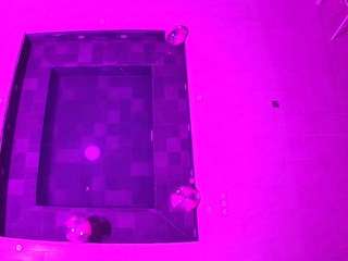 voyeurcam-casa-salsa-hottub-view