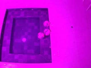 voyeurcam-casa-salsa-hottub-view
