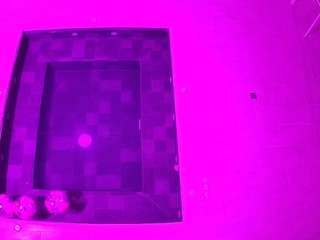 voyeurcam-casa-salsa-hottub-view