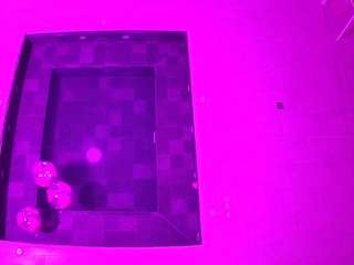voyeurcam-casa-salsa-hottub-view