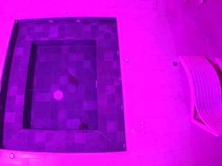 voyeurcam-casa-salsa-hottub-view live cam profile