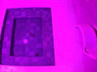 voyeurcam casa salsa hottub view