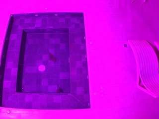 voyeurcam-casa-salsa-hottub-view live cam profile