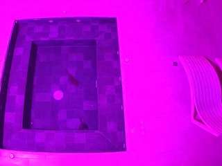 voyeurcam-casa-salsa-hottub-view live cam profile