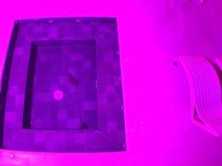 voyeurcam-casa-salsa-hottub-view live cam profile