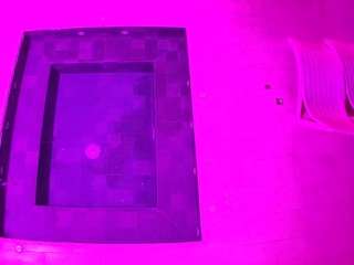 voyeurcam-casa-salsa-hottub-view live cam profile