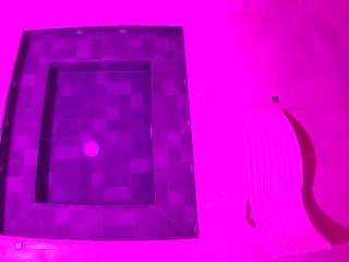 voyeurcam-casa-s... Live Webcam on CamSoda