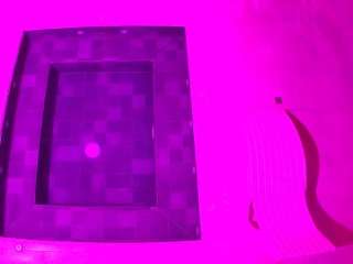 voyeurcam-casa-s... Live Webcam on CamSoda
