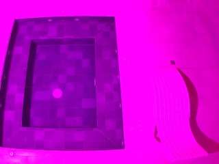 voyeurcam-casa-s... Live Webcam on CamSoda