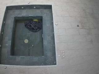 voyeurcam casa salsa hottub view live webcam show