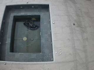 voyeurcam-casa-salsa-hottub-view
