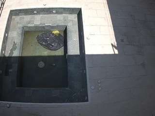 voyeurcam-casa-salsa-hottub-view