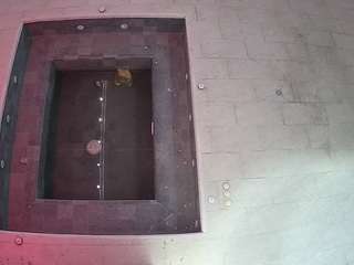 voyeurcam-casa-salsa-hottub-view