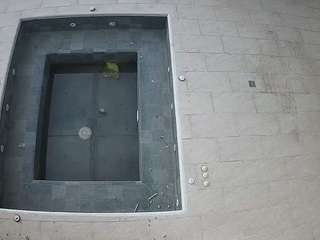 voyeurcam-casa-salsa-hottub-view