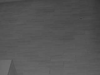voyeurcam-casa-salsa-panoramic