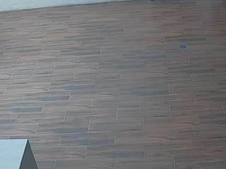 voyeurcam-casa-salsa-panoramic