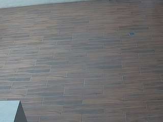 voyeurcam-casa-salsa-panoramic
