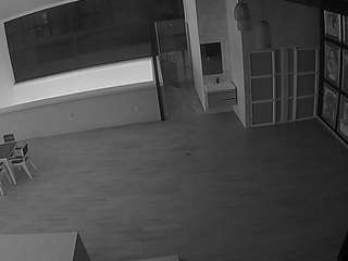 voyeurcam-casa-salsa-panoramic