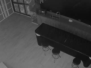 voyeurcam-casa-salsa-panoramic