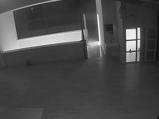 voyeurcam-casa-salsa-panoramic