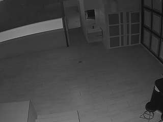 voyeurcam-casa-salsa-panoramic