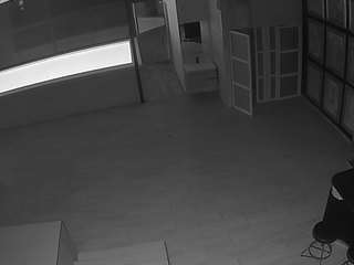 voyeurcam-casa-salsa-panoramic