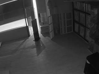 voyeurcam-casa-salsa-panoramic